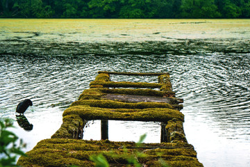 Niederrhein, De Witt See Nettetal