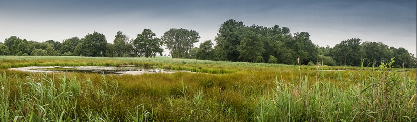 Niederrhein, De Witt See Nettetal