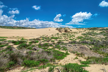 sand dunes along the shore on the outer banks. Sintra , Portugal