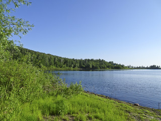 Fototapeta na wymiar Summer landscape: a beautiful sunny day in the forest on the shore of a calm lake