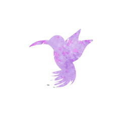 Hummingbird watercolor silhouette isolated on white
