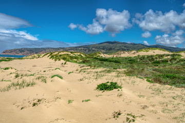 Fototapeta na wymiar Beautiful white sand dune and grasses under puffy cloud sky