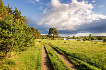 летний пейзаж на берегу уральской реки с соснами, Россия, июнь © 7ynp100