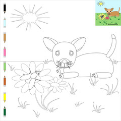 Dog Chihuahua to be colored, the coloring book for preschool kids with easy educational gaming level.