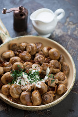 Closeup of roasted champignons and chanterelles with sour cream and parsley in a serving pan, studio shot