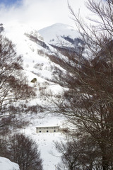 view with snow and shelter