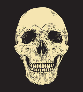 Human skull on black background. Hand drawn vector illustration.