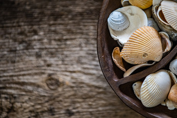 Sea shells in a bowl on weathered wood background