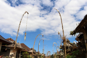 Around Penglipuran village, one iconic traditional neighborhood full of coconut leaves (janur)