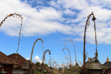 Around Penglipuran village, one iconic traditional neighborhood full of coconut leaves (janur)