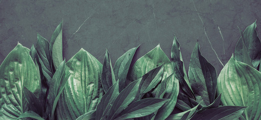 Texture foliage creative