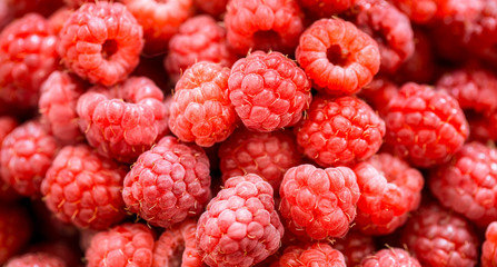 fresh raspberries macro shot