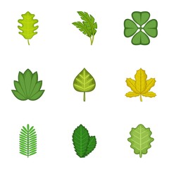 Forest leaves icons set. Cartoon set of 9 forest leaves vector icons for web isolated on white background