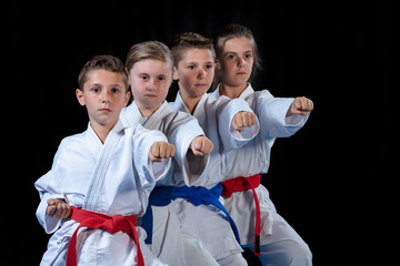 young, beautiful, successful multi ethical karate kids in karate position.