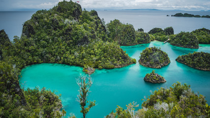 Blue bay with Pianemo island overgrown with jungle plants, surrounded by shallow blue ocean lagoon....