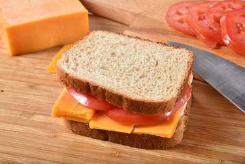Tomato and cheese sandwich