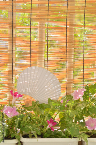 朝顔の花 うちわ すだれ Poster Background Background Posters Tamayura39 朝顔の花 うちわ すだれ Poster Background Background Posters Tamayura39