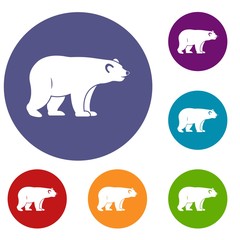 Wild bear icons set in flat circle red, blue and green color for web