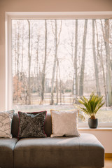 cosy living room interior