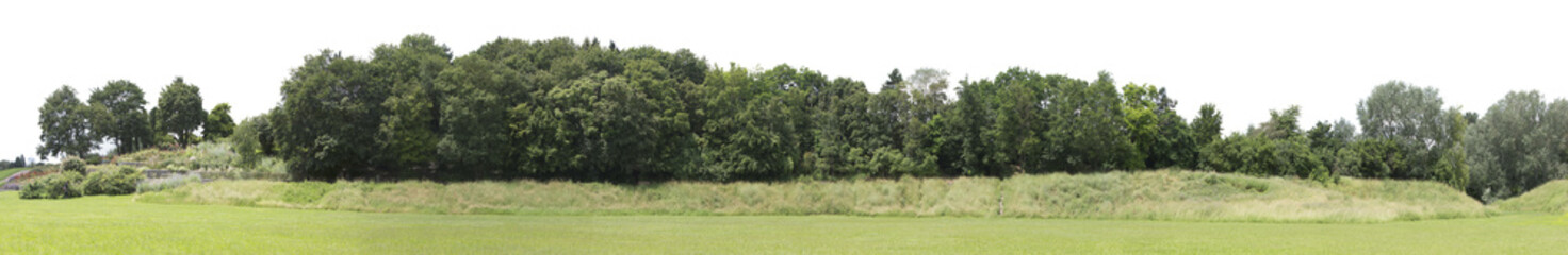 Very high definition Treeline isolated on a white background