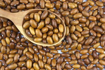 Haricot beans in a wooden spoon  isolated on white background