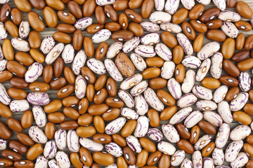 Haricot bean close background with high resolution