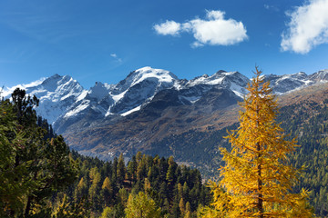 Fototapeta na wymiar Alpine landscape near Bernina pass , Switzerland.