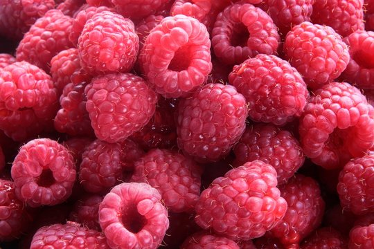 raspberry fruits close up