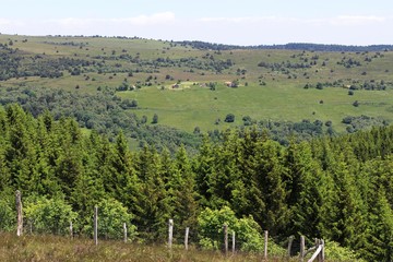 paysages du haut Forez, Auvergne