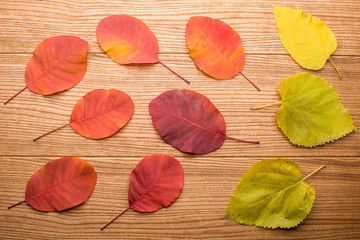 Fototapeta na wymiar autumn leaves on the boards