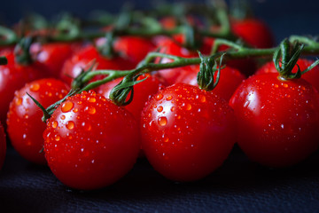 Tomatoes on black background. Branch with fresh cherry tomatoes. Ripe red tomatoes. 