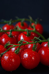Tomatoes on black background. Branch with fresh cherry tomatoes. Ripe red tomatoes. 