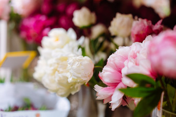 Lot of peonies, close up.