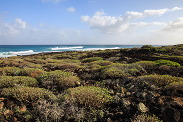 Fototapeta na wymiar Coast of island Lanzarote, nature background