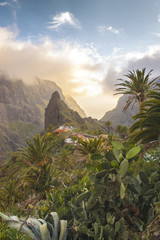 Fototapeta na wymiar Stunning landscape mountain village in deep canyon with jungle forest on a paradise island. Beautiful golden hour sunrise sunset soft light. Travel photo, postcard. Masca, Tenerife, Canary Islands