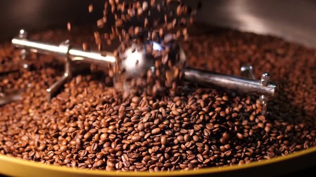 Slow motion coffee beans after been roasted pouring down on a cooling plate of an oven