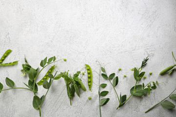 Fresh green peas frame