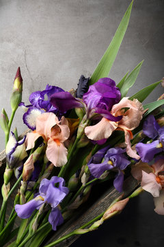 Fresh iris flowers mix top view