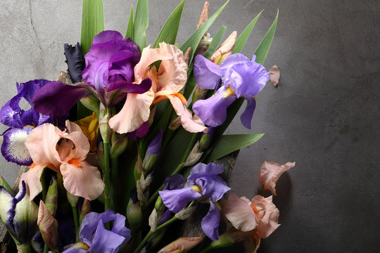 Fresh iris flowers mix