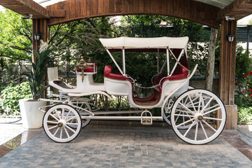 Old or antique White horse-drawn carriage mock up.