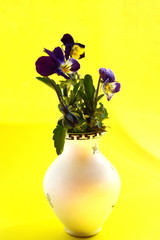 A bouquet of fresh spring garden flowers in clay vase with pattern. Violet tricolor on yellow background