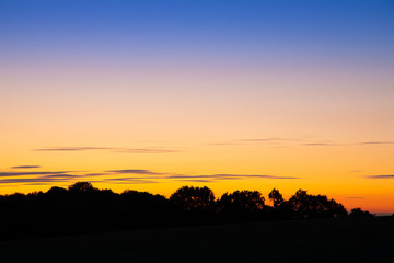 Abendhimmel mit B&auml;umen am Horizont im Scherenschnitt
