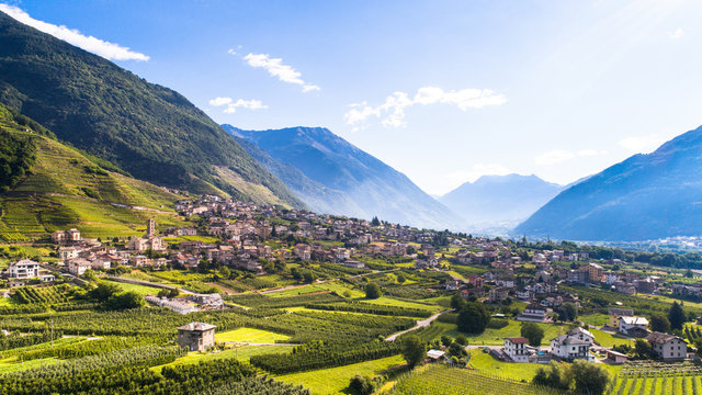 Orchards and vineyards in Valtellina, aerial shot.