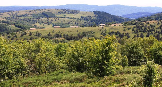 paysages du haut Forez, Auvergne