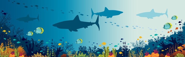 Sharks, coral reef, underwater sea and fishes.