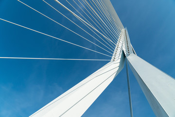 Erasmus-Brücke in Rotterdam