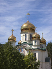 Fototapeta na wymiar orthodox church with golden domes
