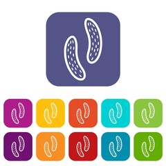 Obraz premium Epithelial cell icons set vector illustration in flat style in colors red, blue, green, and other