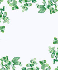 Fototapeta premium green clover leaves isolated on white background. St.Patrick 's Day