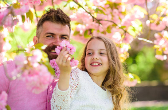 Childhood concept. Father and daughter on happy faces play with flowers, sakura background. Child and man with tender pink flowers in beard. Girl with dad near sakura flowers on spring day.